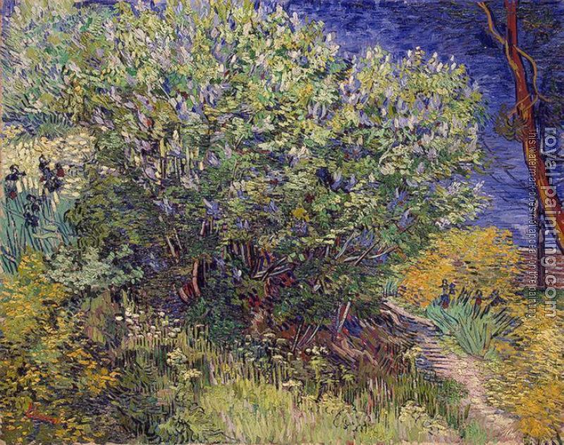 Vincent Van Gogh : Lilac Bush